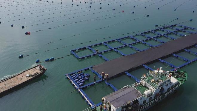 “内转外、浅转深”发展霞浦沿岸海域养殖“减量”提升海洋活力(图2)