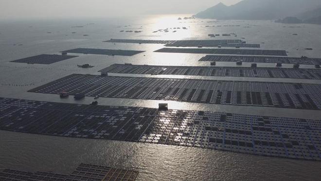 “内转外、浅转深”发展霞浦沿岸海域养殖“减量”提升海洋活力(图4)