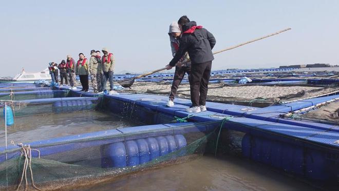 “内转外、浅转深”发展霞浦沿岸海域养殖“减量”提升海洋活力(图3)