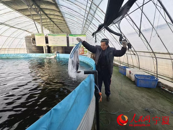 新春走基层丨盐碱地里养“海鲜”是怎么回事？(图3)