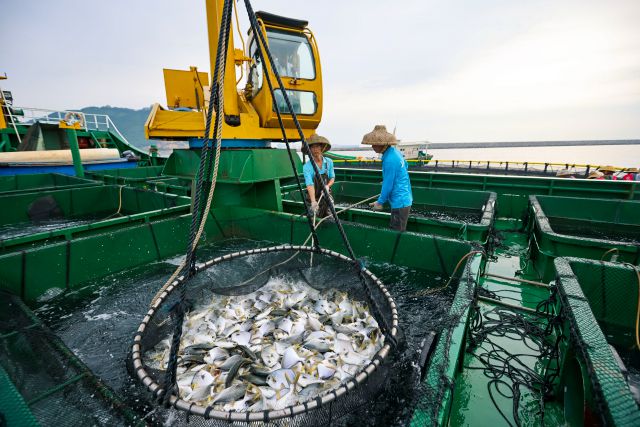 广东现代化海洋牧场发展2025年将应对什么机遇和挑战？(图2)