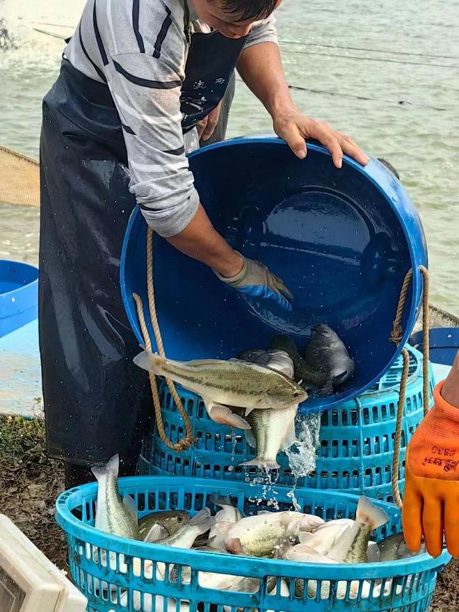 kaiyun入口：安徽省水产技术推广总站领导一行莅临海璟水产考察调研(图5)