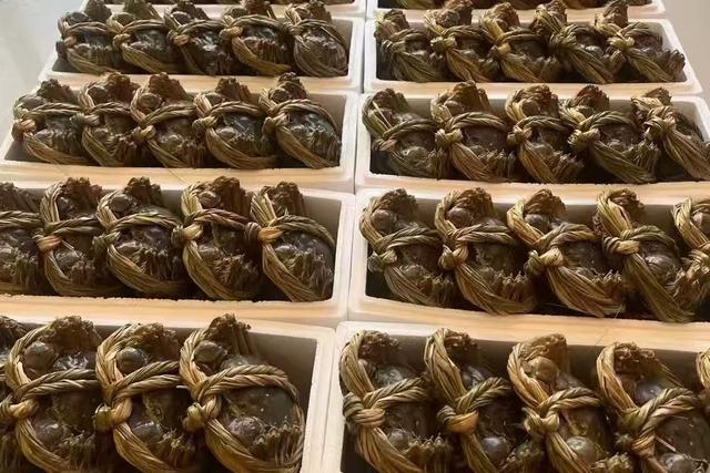 “五河螃蟹”享誉长三角(图2)