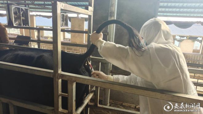 晒出“成绩单”绘就“路线图”闯出“新局面”——2024年娄底市畜牧水产和农机工作纪略(图2)