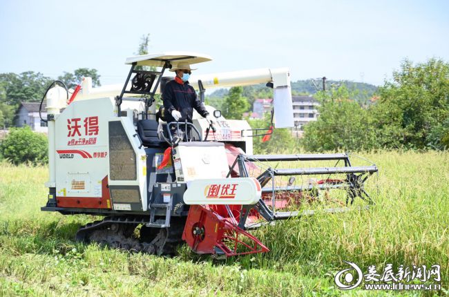 晒出“成绩单”绘就“路线图”闯出“新局面”——2024年娄底市畜牧水产和农机工作纪略(图4)