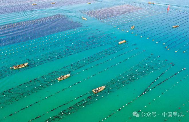 2024年上半年“金点子”评选结果出炉(图3)