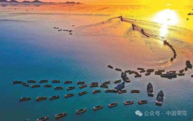 2024年上半年“金点子”评选结果出炉(图2)