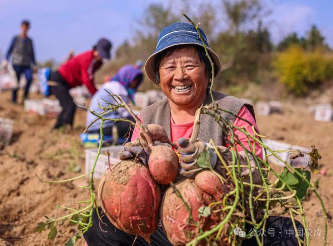 2024年上半年“金点子”评选结果出炉(图4)