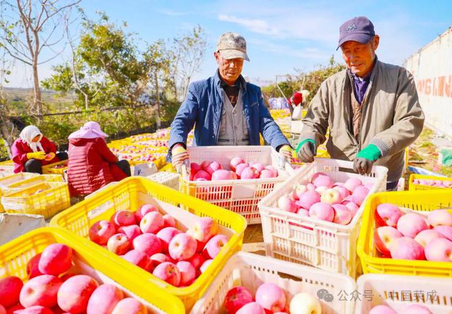 2024年上半年“金点子”评选结果出炉(图5)