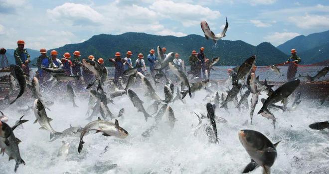 kaiyun：要告别了！杭州官宣：后天起全面禁止(图2)