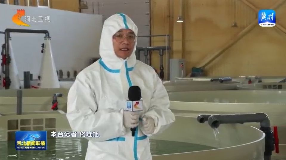 【大力优化营商环境加快高质量发展】承德围场：来自深圳的水产大项目缘何落户内陆小城(图4)