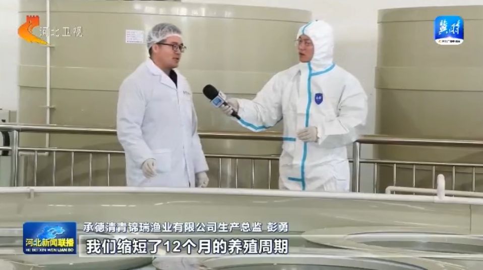 【大力优化营商环境加快高质量发展】承德围场：来自深圳的水产大项目缘何落户内陆小城(图6)