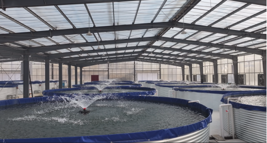 鱼蚌混养新模式、一桶“活水”兴产业！东平县银山镇渔业养殖激活“新动能”(图2)