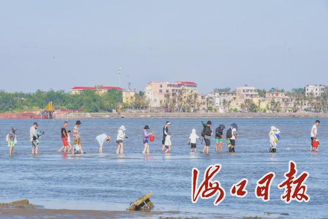 kaiyun入口：海口全省首个省级全域美丽海湾城市！(图2)