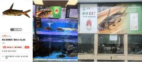 kaiyun：新津区以专利创新赋能地理标志产业高质量发展(图2)