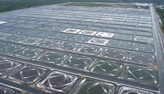 中国水产饲料销量排行榜！海大460万吨、通威300万吨、新希望12…44家饲企超1！(图7)