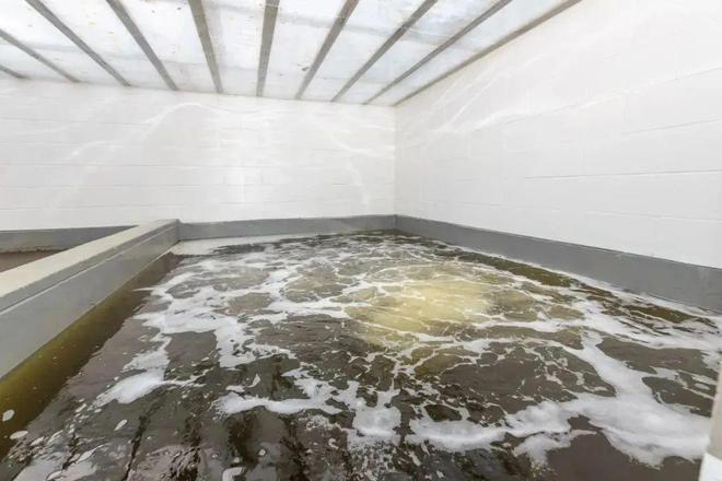 最高罚款100万元！事关养殖尾水排放这里养殖户急了：没钱！(图3)