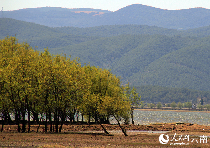 奇怪！打渔村没有一个人打鱼(图2)