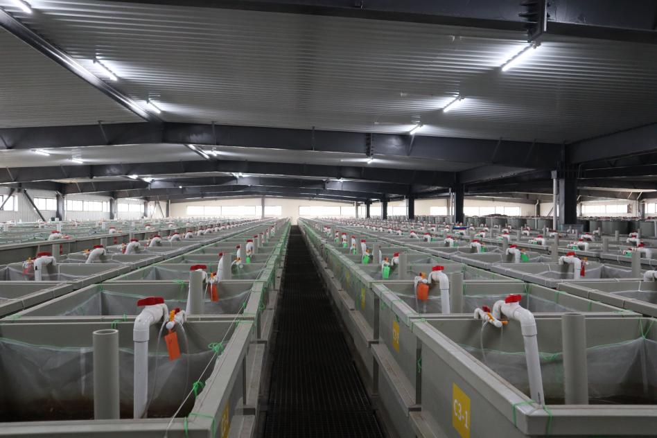 自贸港政策助力金雨海洋智慧渔业产业园“链”通渔业新未来(图2)