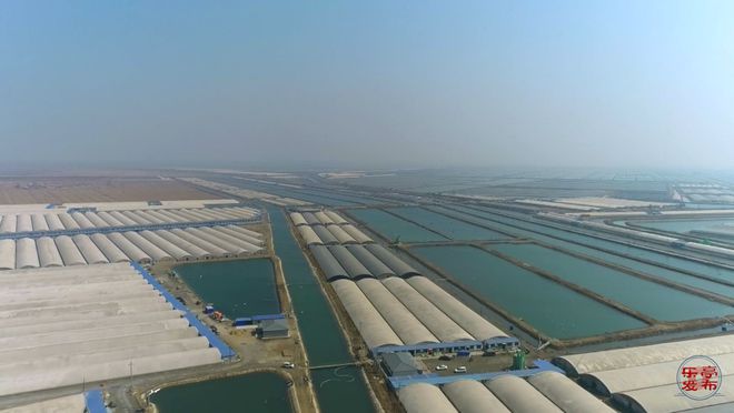 【“经”彩乐亭】乐亭渔业：春潮涌动苗种生产开启全年丰收序章(图2)