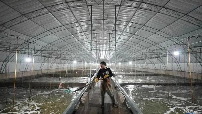 【“经”彩乐亭】乐亭渔业：春潮涌动苗种生产开启全年丰收序章(图5)