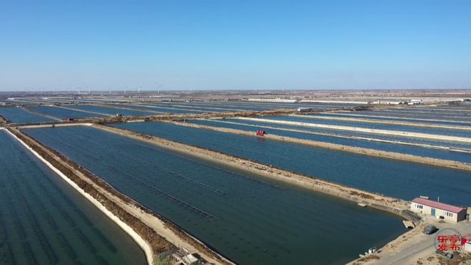 【“经”彩乐亭】乐亭渔业：春潮涌动苗种生产开启全年丰收序章(图6)