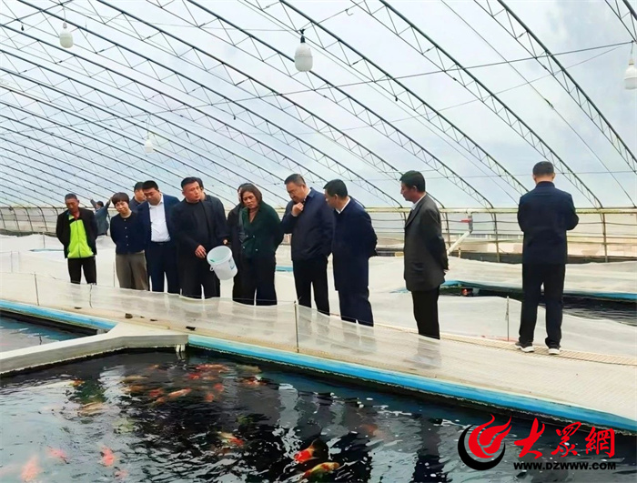 山东省农业农村厅调研泰安市渔业高质量发展情况(图2)