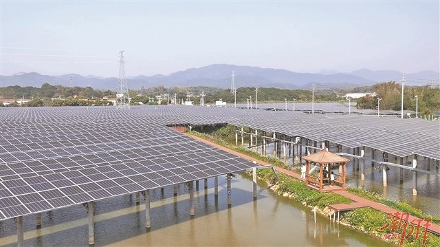 潮安区归湖镇走出绿色发展新路“渔光互补”模式让废鱼塘变成“聚宝盆”(图1)
