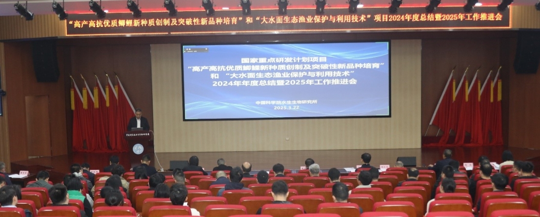 国家重点研发计划“海洋农业与淡水渔业科技创新”重点专项两个项目2024年年度总结会暨2025年工作推进会在水生所召开(图1)