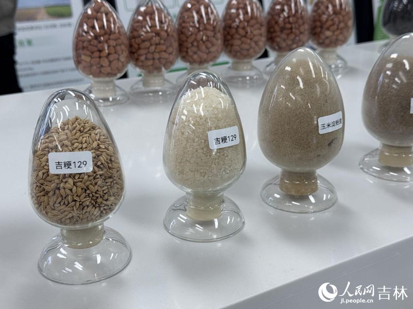 kaiyun网站：生态筑基绿能生金——吉林镇赉探索绿色发展跃升之路(图3)