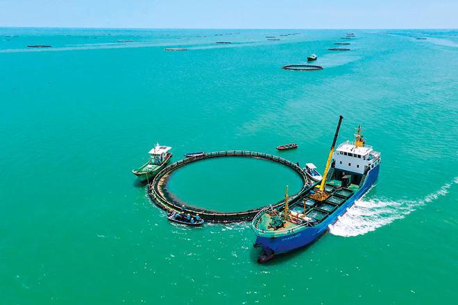 瞭望湛江：打造海洋渔业样板(图1)