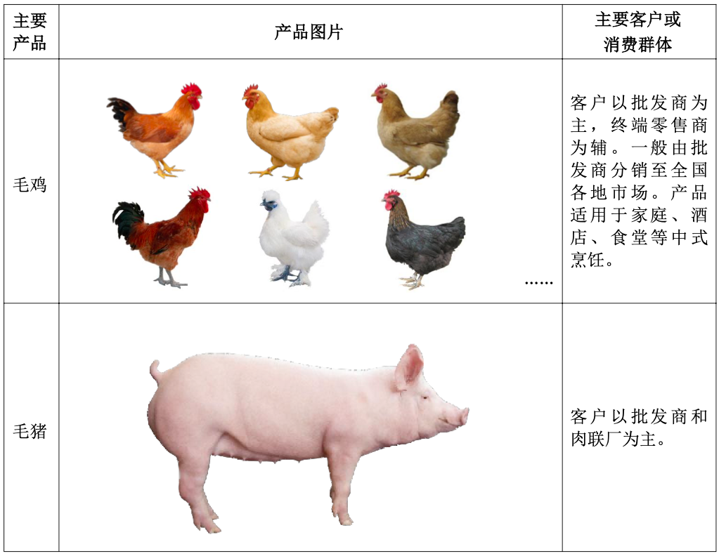 kaiyun网站：2024、2025Q1净利接连同增超2倍养殖龙头温氏股份营收首破千亿再启航丨业绩有得秀(图1)