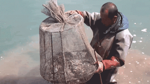 推动农业转型！盘锦全力构建现代农业全产业链体系(图3)