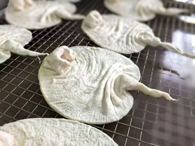 鱼胶变“金胶”：广东渔业高质量发展新样本(图3)