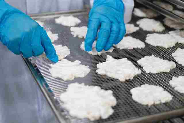 鱼胶变“金胶”：广东渔业高质量发展新样本(图7)