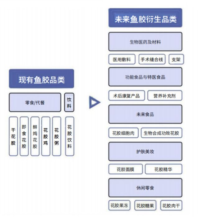 鱼胶变“金胶”：广东渔业高质量发展新样本(图9)