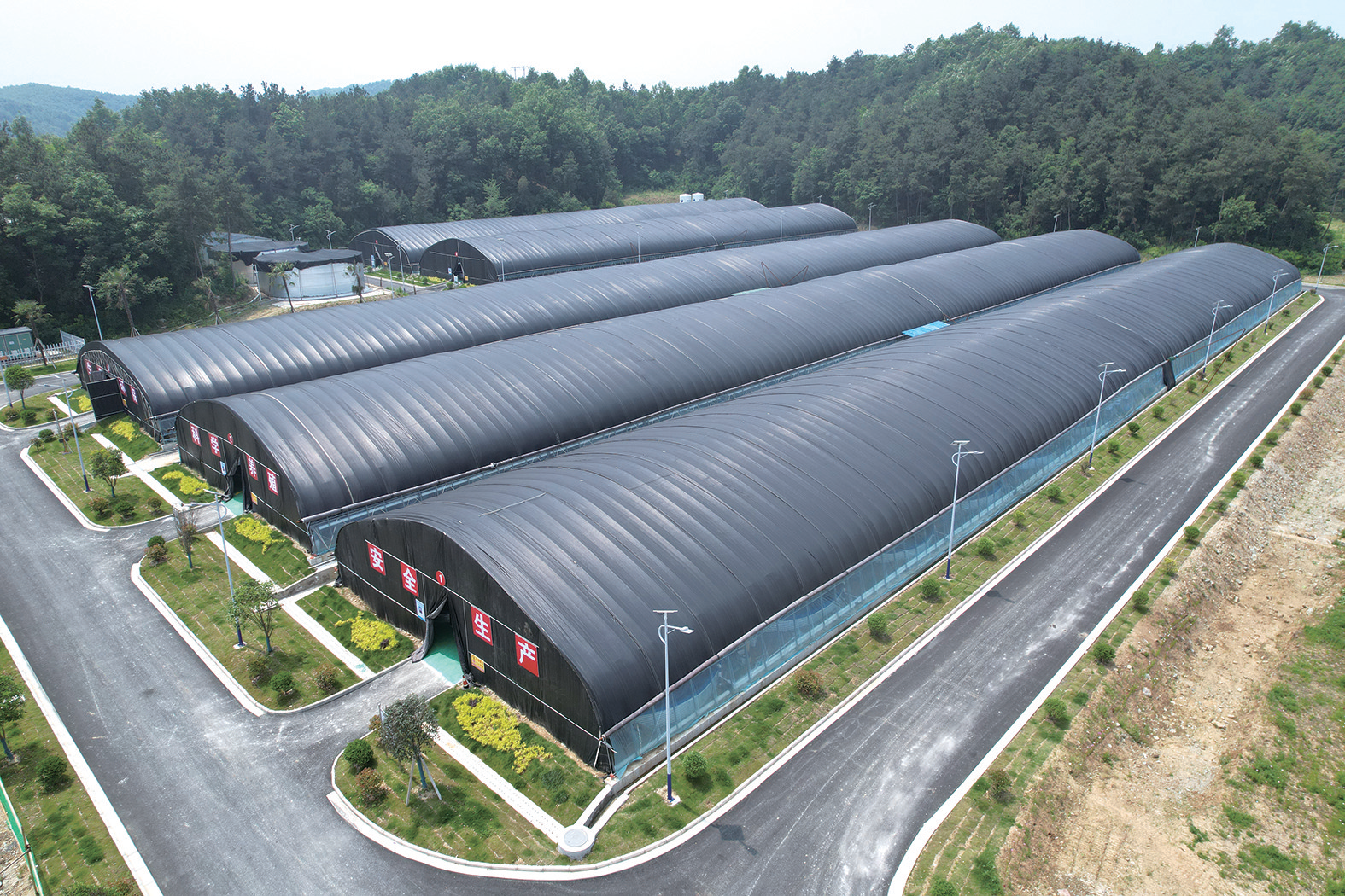 “一条鱼”的绿色产业突围之路——丹江口市以“丹江鲌”品牌书写生态渔业新篇章(图3)