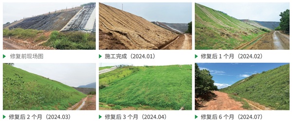 广东环保集团以“绿色引擎”驱动高质量发展加快打造现代化产业体系(图2)