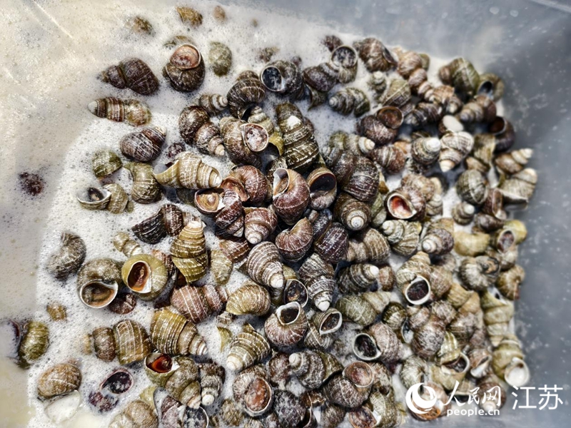 kaiyun：小螺蛳、小龙虾、大闸蟹(图2)