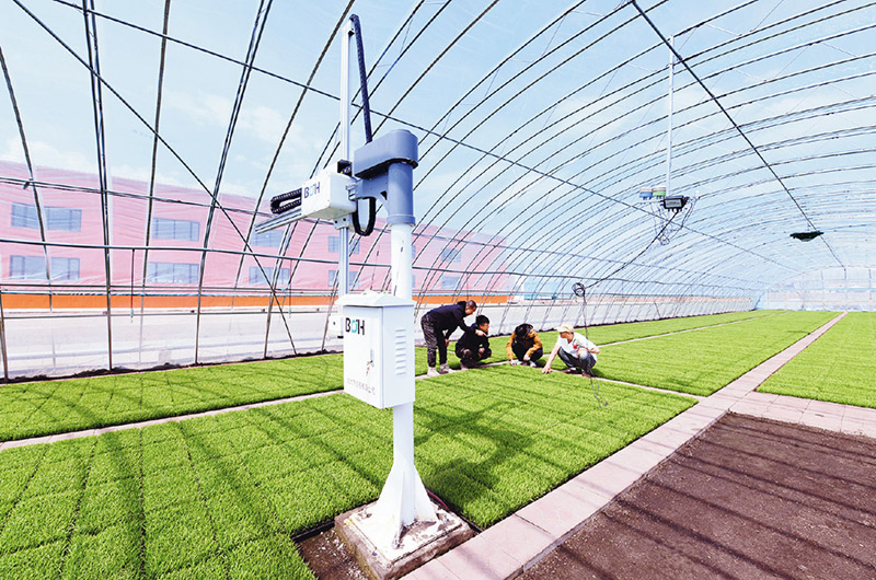 kaiyun网站:以发展新质生产力塑造全面振兴新优势(图3)