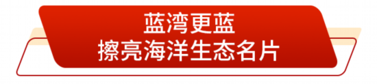 向着蔚蓝深处进发山东打造现代海洋经济发展高地(图6)