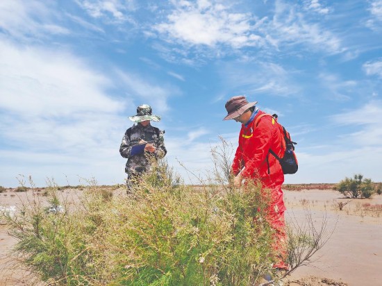 向着蔚蓝深处进发山东打造现代海洋经济发展高地(图9)