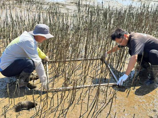 向着蔚蓝深处进发山东打造现代海洋经济发展高地(图10)