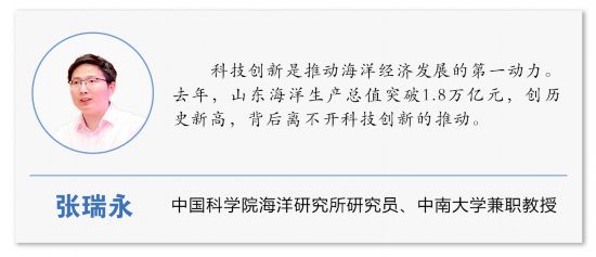 向着蔚蓝深处进发山东打造现代海洋经济发展高地(图12)