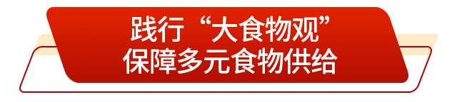 走在前挑大梁丨藏粮有方“齐鲁粮仓”更满更优(图5)