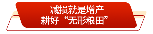 走在前挑大梁丨藏粮有方“齐鲁粮仓”更满更优(图4)