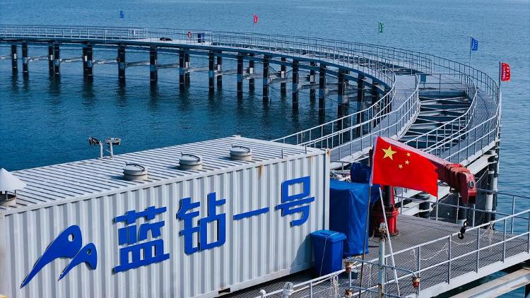 走在前挑大梁丨藏粮有方“齐鲁粮仓”更满更优(图6)