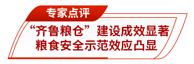 走在前挑大梁丨藏粮有方“齐鲁粮仓”更满更优(图8)