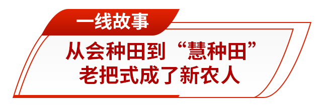 走在前挑大梁丨藏粮有方“齐鲁粮仓”更满更优(图7)