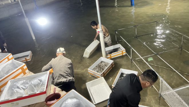 水产的价格也要被广西打下来了！总投资18亿元的鳗鱼基地在贵港落地(图2)